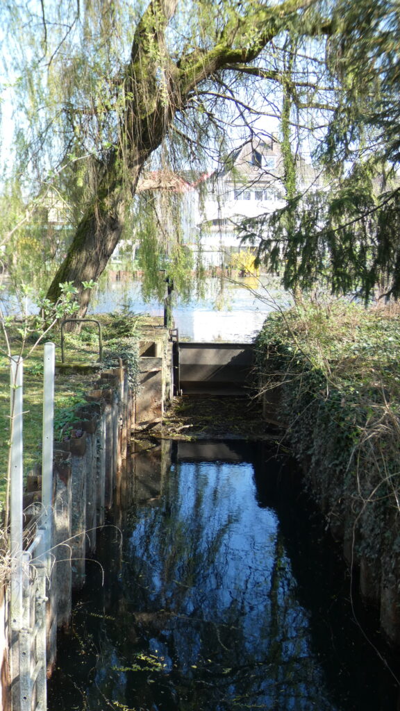 Les Berges de l'île – Localisation & immeubles – Domaine de l'Île, Illkirch-Graffenstaden