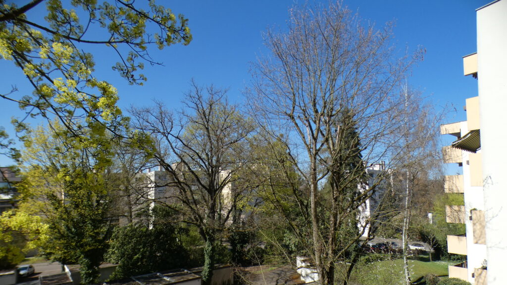 Espaces verts – Domaine de l'Île, Illkirch-Graffenstaden